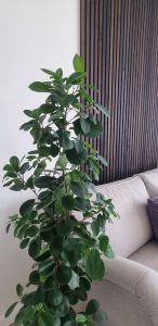 Akupanel-Produktbild - Ansicht 13