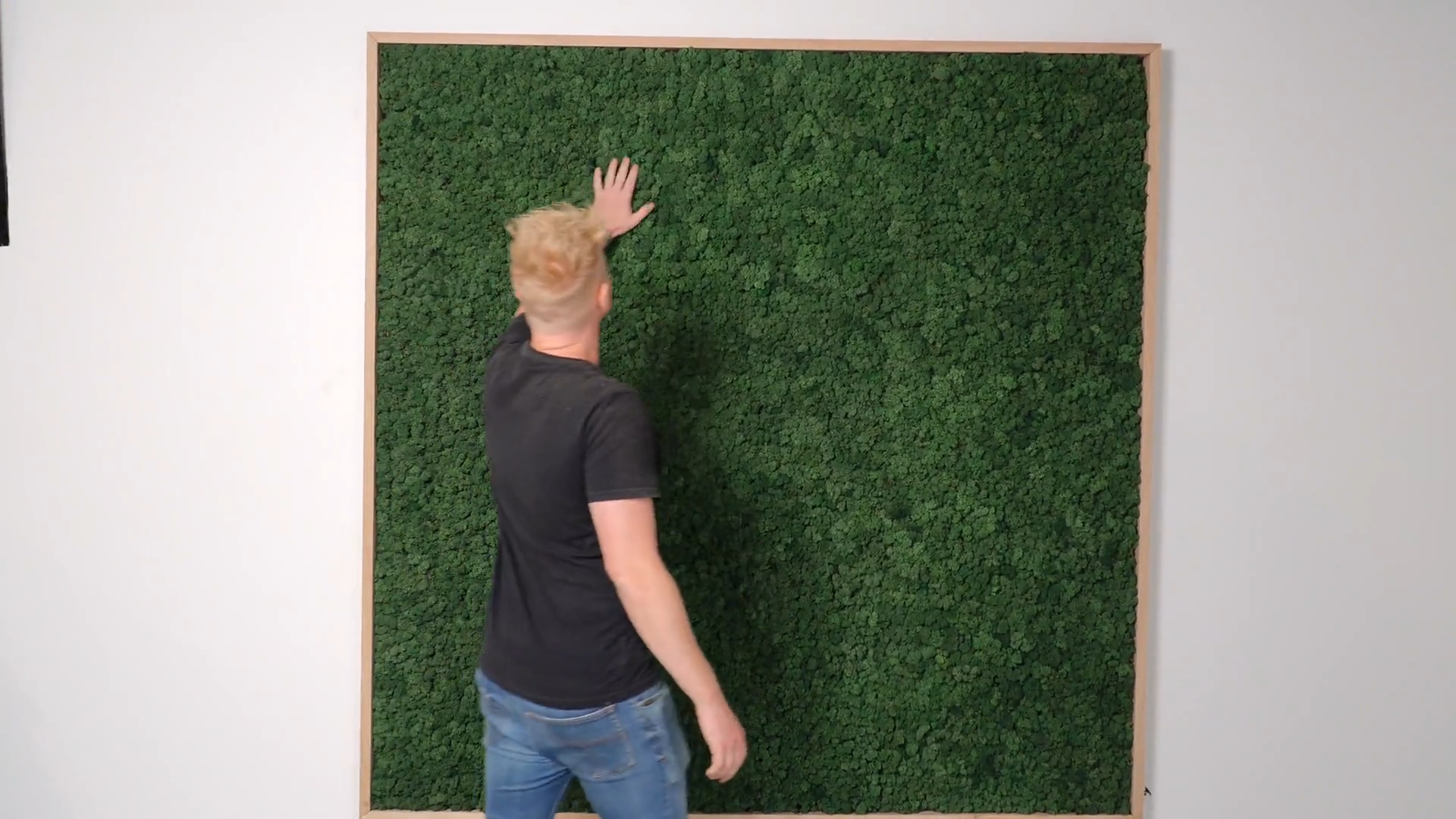 moss-panel-installation-poster-2