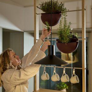 Eine Frau in beige Leinenbluse richtet an einem WoodUpp-Raumteiler aus hellem Holz zwei halbkreisförmige, bordeauxrote Hänge-Pflanzschalen mit Kräutern an Metallstangen. Das mehrstöckige WoodUpp-Regal mit platzsparendem Design zeigt zudem Metallhaken mit vier aufgehängten Keramiktassen, eine schwarze Pendelleuchte im Vordergrund.