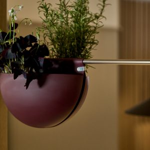 WoodUpp halbgeöffneter, bordeauxfarbener Hängeblumentopf in Halbkugel-Form mit matter Oberfläche, gefüllt mit feinem Kräutergrün und dunkelvioletten Blättern. Der Topf hängt an einer schlanken Edelstahlstange und ist durch einen sichtbaren WoodUpp-Metallclip befestigt. Der Clip wirkt stabil und abnehmbar, ideal für kleine Wohnungen.