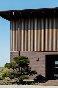 WoodUpp: Modernes Haus mit präzise montierter, oberer Fassadenverkleidung aus senkrechten WoodUpp-Holzlamellen in warmem Naturton und gleichmäßig schmalen Lamellen; darunter dunkler Ziegelsockel, braunes Regenrohr, rechteckiger Eingang mit Glas, gepflegter, bonsai-ähnlich geformter Gartenbaum im Vordergrund und blauer Himmel, feine Schattenlinien an der Fassade, gepflasterte Einfahrt und flacher Dachüberstand sichtbar.